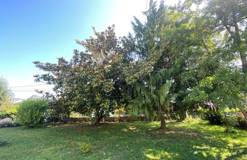 Azerables House | Le toucan d'azérables