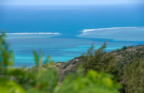 Coromandel Bed & Breakfast | Le Tropical Chez Jeannette