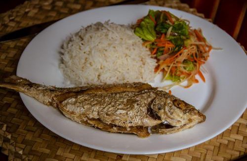 Coromandel Bed & Breakfast | Le Tropical Chez Jeannette