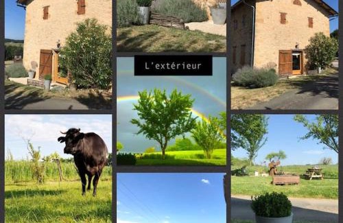 Le Buisson-de-Cadouin House | « Le Vieux Hangar » gîte à la ferme