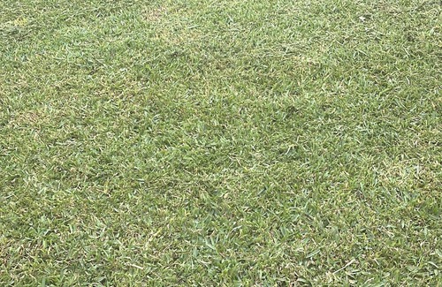 Altavilla Milicia Villa | Lea's House