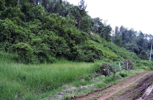 Anachal House | Leaf Garden cottage