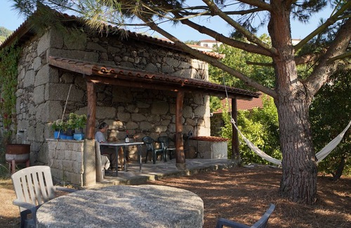 Barro Villa | Lemon Tree at Terrus Winery