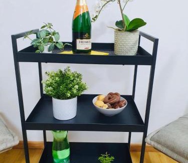 Traun Apartment | Leon 3 wunderschönes neues Apartment