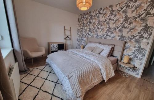Mulhouse Apartment | Les Alliés