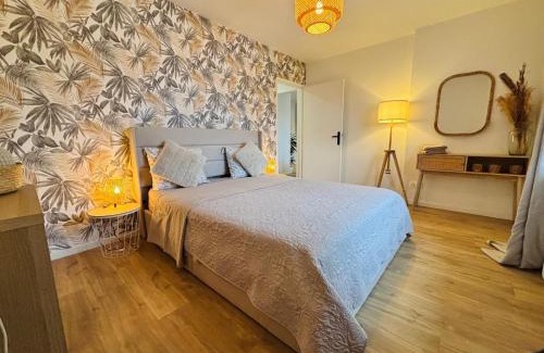 Mulhouse Apartment | Les Alliés