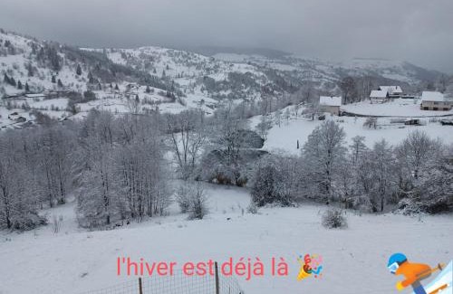 La Bresse Apartment | Les Chalets Bambi & Jacuzzi privatif