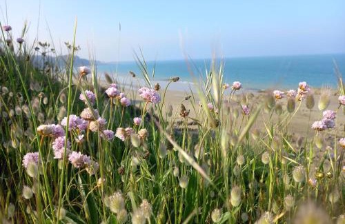 Binic Apartment | Les Falaises, en plein cœur de Binic