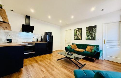 Romorantin-Lanthenay Apartment | Les Logis d'Esmeralda-Appartements Centre Romorantin