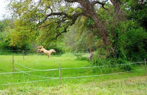 Cogolin House | Les Rabassières, villa au coeur du massif des maures