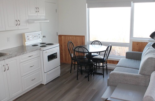 Saint Irenee Apartment | Les studios d'hébergement du Domaine Forget