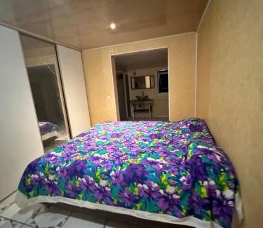 Faaa Bed & Breakfast | Les Tainas bis