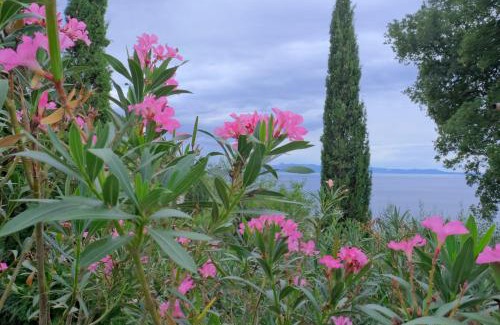 Qeparoi i Siperm Villa | Les Villas de Qeparo