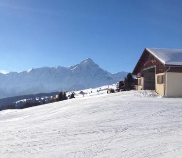 Cazis Apartment | Lescha C2C