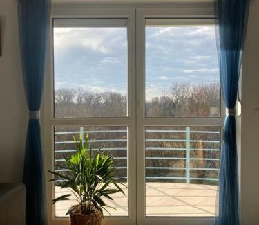 Heviz Apartment | Libellula Apartman Hévíz