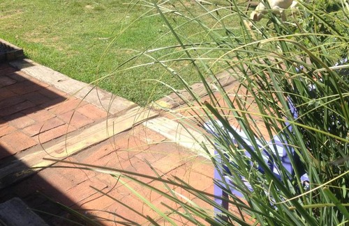 Pichilemu House | Liborio de Mar