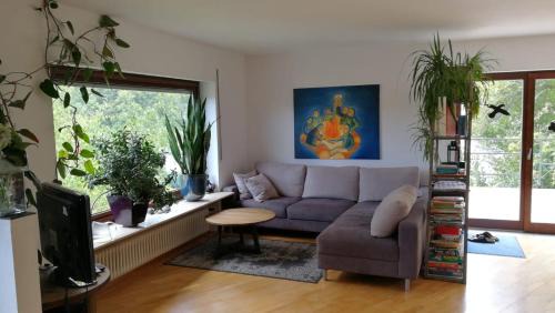Vollmersbach Apartment | Lichtblick