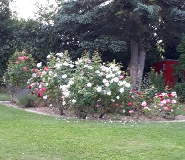 Dueren Bed & Breakfast | Lichtdurchflutetes Atelierhaus mit Skulpturenpark