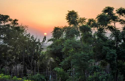 Kharar House | Likhyani Permaculture Farm