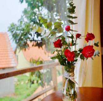 Lam Ha House | Lim Village - Nam Ban