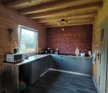 Czarna Ski Chalet | Lisi Zakątek
