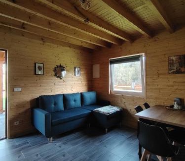 Czarna Ski Chalet | Lisi Zakątek