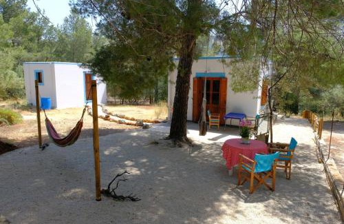 Panormos House | little house in forest