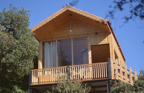 Ajloun Cottage | Live amid nature in the most beautiful Ajloun Hut