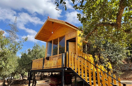 Ajloun Cottage | Live amid nature in the most beautiful Ajloun Hut