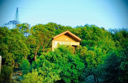 Ajloun Cottage | Live amid nature in the most beautiful Ajloun Hut