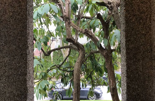 Dunbar House | Live and love Vancouver ... The whole inheritance house