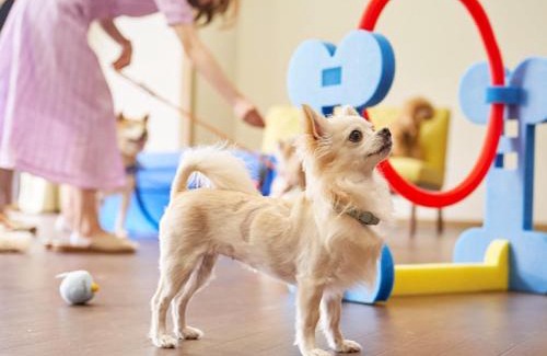 Yawatano Hotel | LiVEMAX RESORT Izukogen Annex