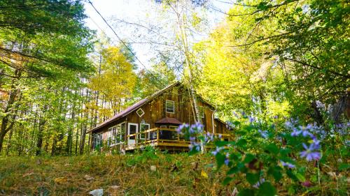 Wevertown Cabin | Llama House ADK