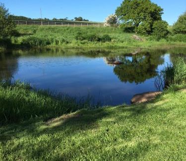 Rhydlydan Bed & Breakfast | Llwyn Onn Guest House, North Wales