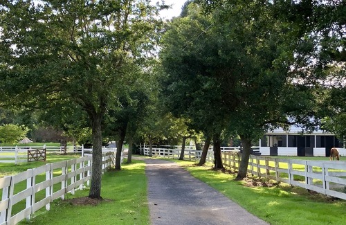 Point Clear Apartment | Lob Lolly Farm of Point Clear