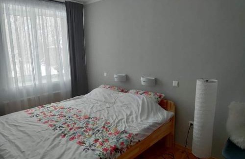 Irbene Apartment | Located in Ances pagasts Apartments