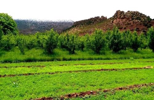 Telouet House | LODGE bennouri