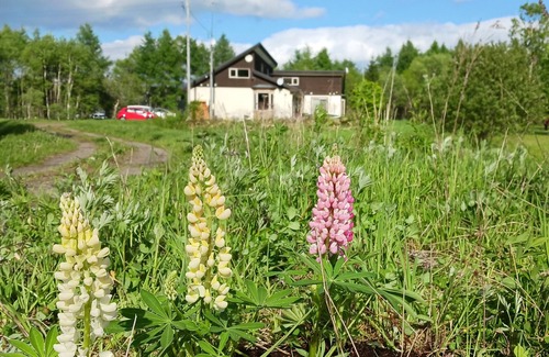 Nakashibetsu Villa | Lodge "Hunter's Forest" is a quiet vacation home surrounded by nature. 9 minutes drive from the airport, 8 minutes to the city center, 3 minutes to the 100% spring-fed outdoor hot springs, 15 minutes to the ocean, and fully equipped for long-term stays!