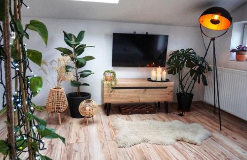 Nowy Dwor Gdanski Apartment | Loft Żuławy, apartament na wyłączność