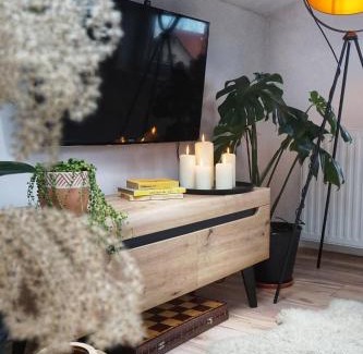 Nowy Dwor Gdanski Apartment | Loft Żuławy, apartament na wyłączność
