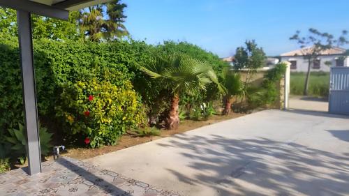 Campano Apartment | Loft con barbacoa y jardín privado, solo familias y parejas