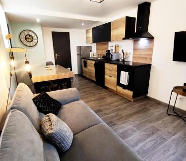 Sarreguemines Apartment | loft industriel L'Idaho