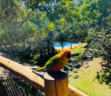 Acu da Torre Cabin | Loft Reserva Sapiranga Praia do Forte Vila Hen 102