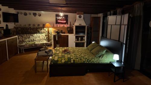 Ciudad Universitaria House | Loft Tortuga