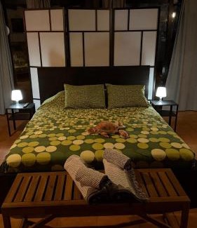Ciudad Universitaria House | Loft Tortuga