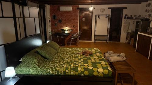 Ciudad Universitaria House | Loft Tortuga