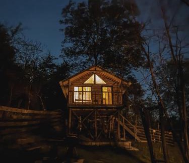 Pesteana Other | Loft Treehouse