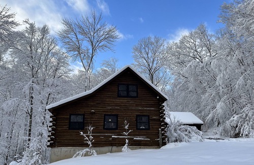Sandgate Cabin | Log Cabin In The Woods