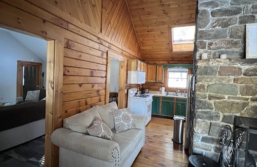Mount Holly Cabin | Log Cabin Minutes from Jackson Gore and Okemo Mountain!