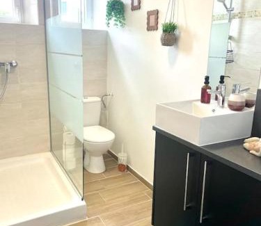 Saint-Laurent-en-Royans House | Logement cosy et jardin